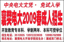 数字广告设计 在《襄樊晚报》数字报与电子版中绽放品牌力量